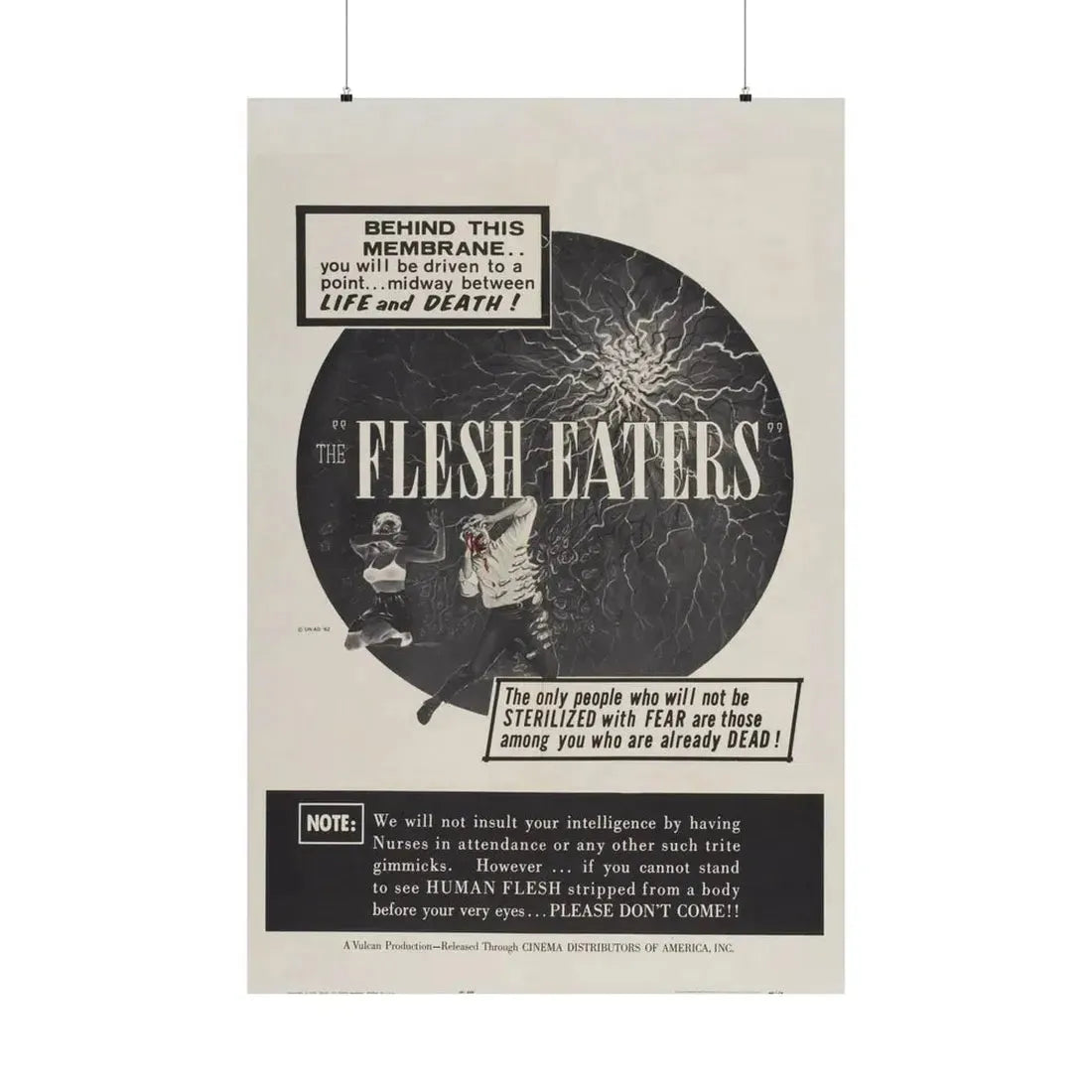 THE FLESH EATERS 1964 - Paper Movie Poster 36" x 54" Matte - The Sticker Space