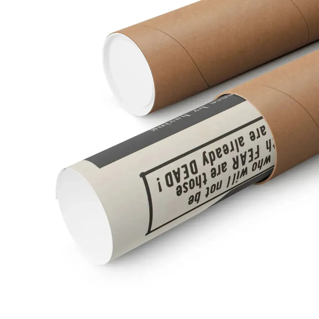 THE FLESH EATERS 1964 - Paper Movie Poster - The Sticker Space