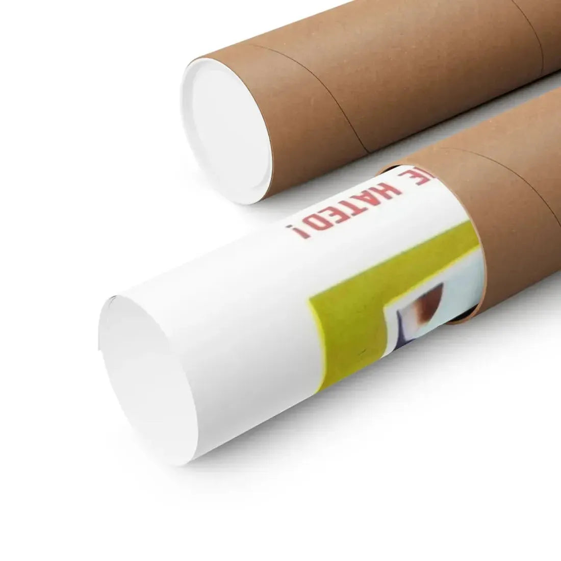 THE FLESH IS WEAK & BLONDE IN BONDAGE 1957 - Paper Movie Poster - The Sticker Space