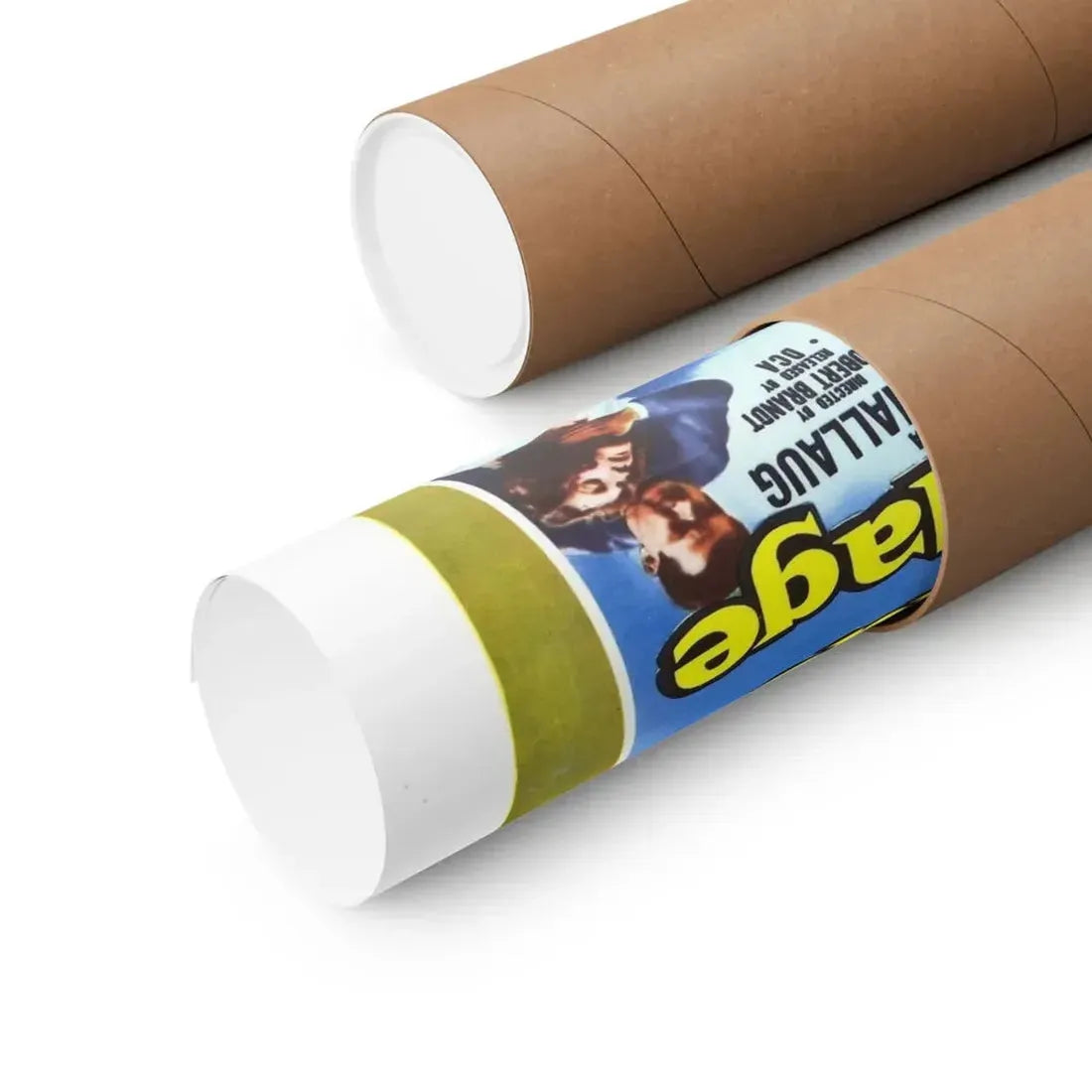 THE FLESH IS WEAK & BLONDE IN BONDAGE 1957 - Paper Movie Poster - The Sticker Space