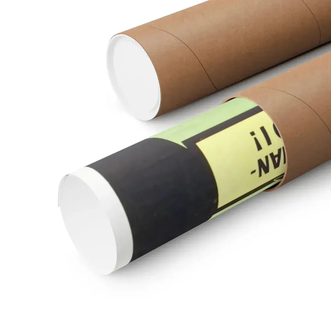 THE FLY (2) 1958 - Paper Movie Poster - The Sticker Space