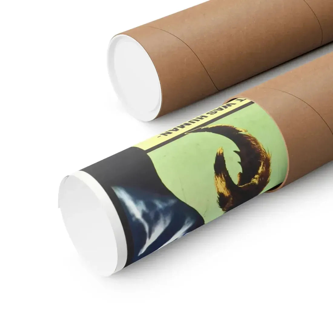 THE FLY (2) 1958 - Paper Movie Poster - The Sticker Space