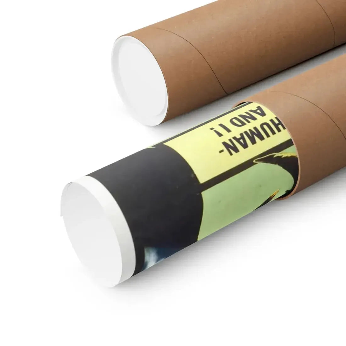 THE FLY (2) 1958 - Paper Movie Poster - The Sticker Space