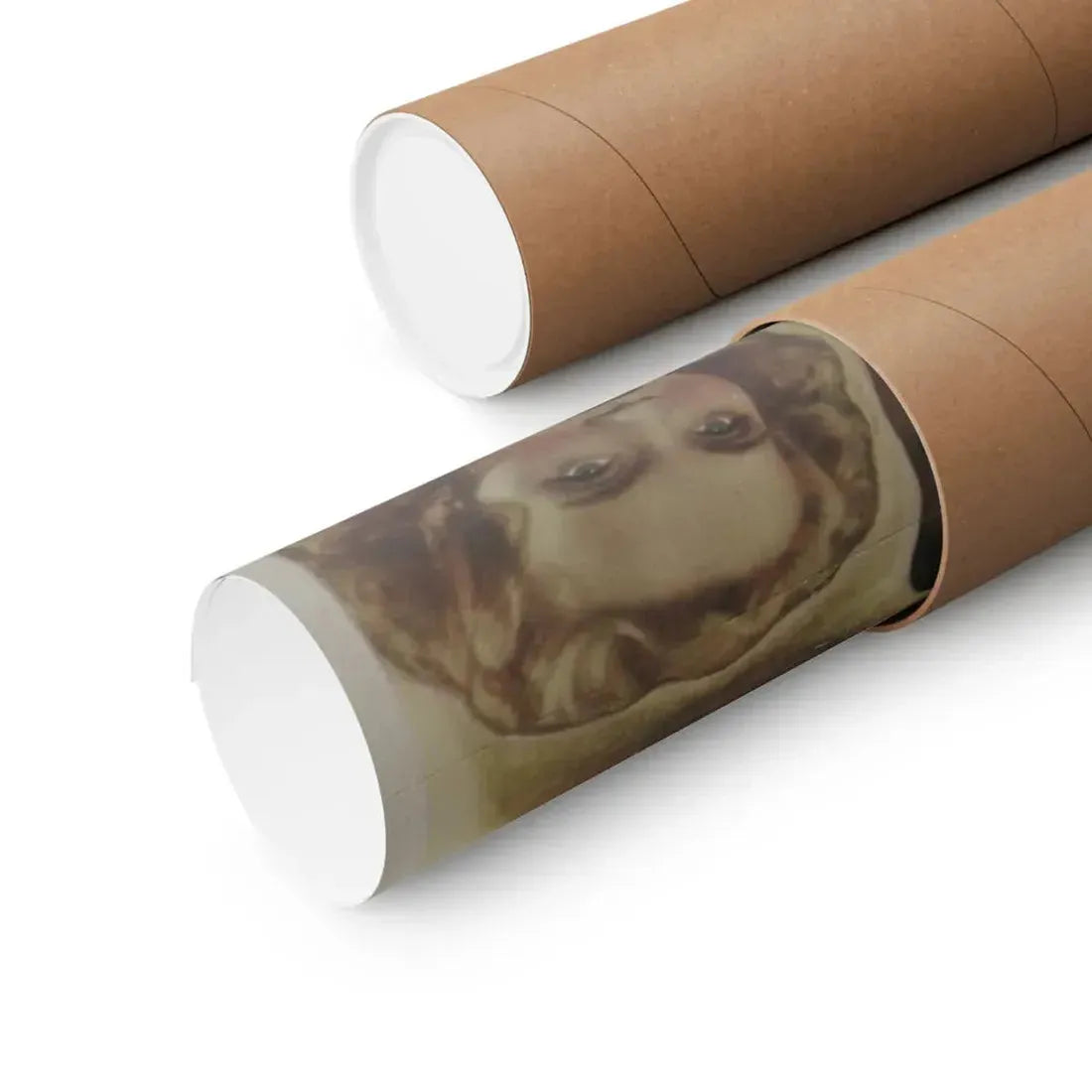 THE FLYING SERPENT 1946 - Paper Movie Poster - The Sticker Space