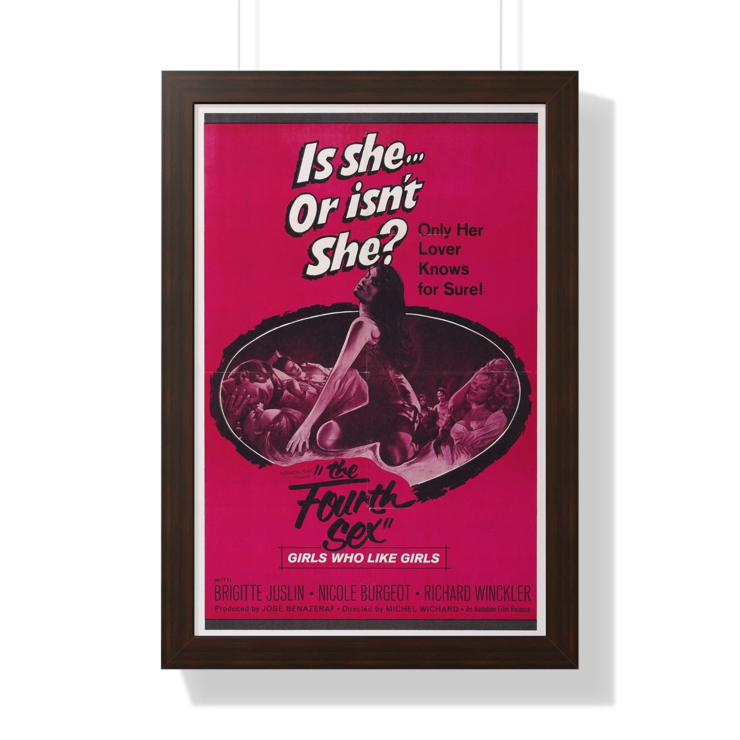 THE FOURTH SEX 1963 - Framed Movie Poster-16″ x 24″-The Sticker Space