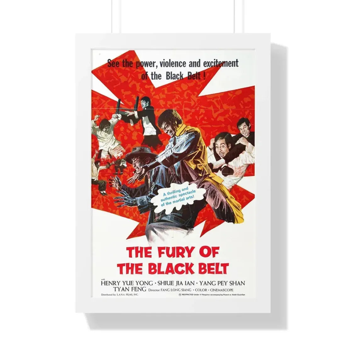 THE FURY OF THE BLACK BELT 1973 - Framed Movie Poster 16″ x 24″ White - The Sticker Space