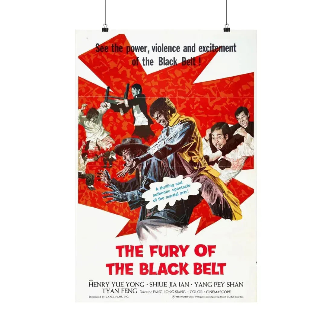 THE FURY OF THE BLACK BELT 1973 - Paper Movie Poster 20″ x 30″ Matte - The Sticker Space