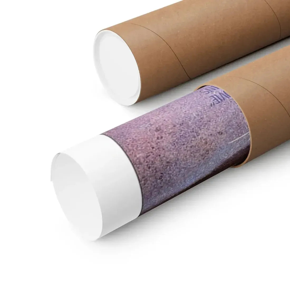 THE GARBAGE PAIL KIDS MOVIE 1987 - Paper Movie Poster - The Sticker Space