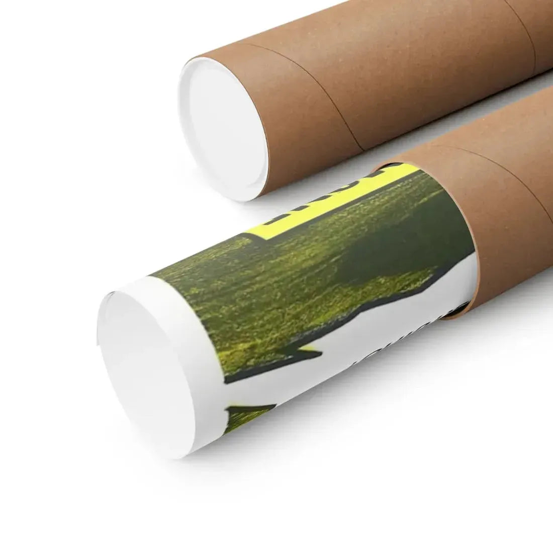 THE GIANT GILA MONSTER (SPANISH) 1959 - Paper Movie Poster - The Sticker Space