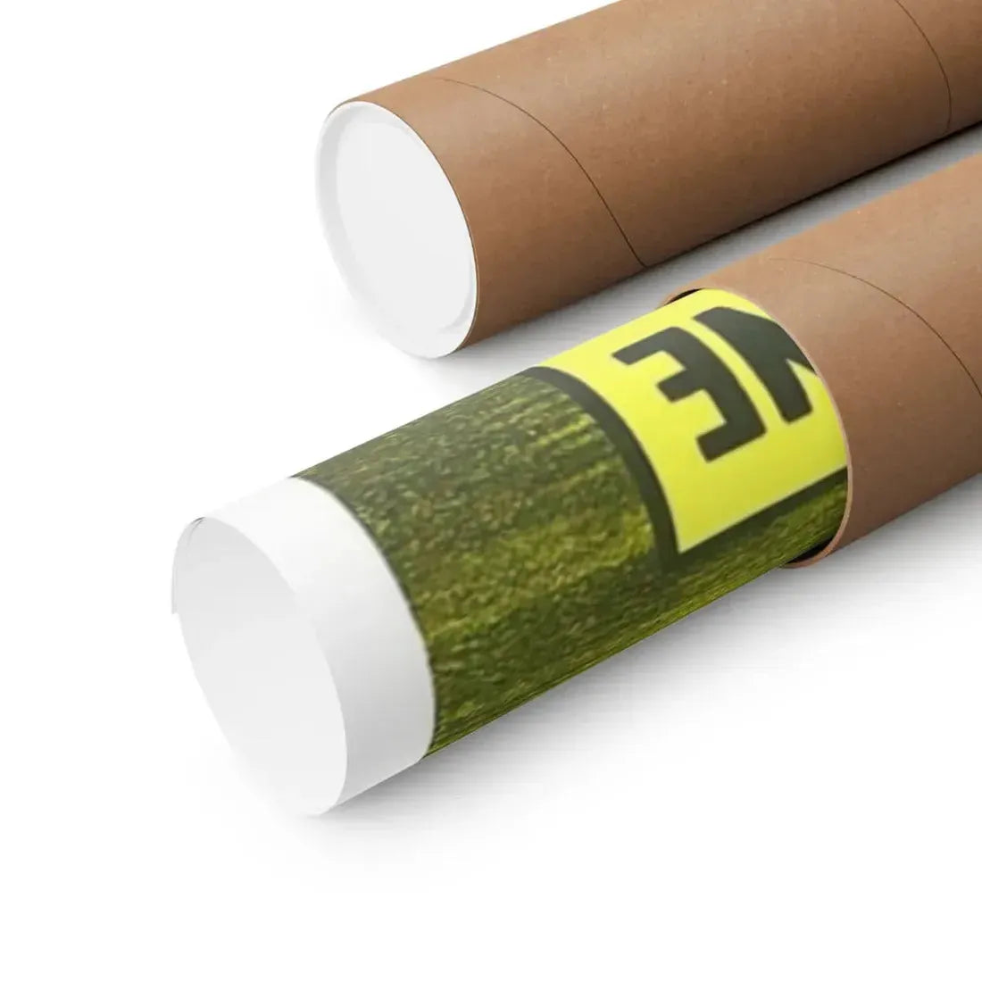 THE GIANT GILA MONSTER (SPANISH) 1959 - Paper Movie Poster - The Sticker Space