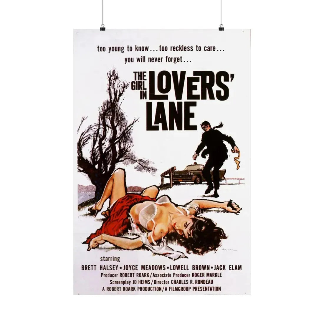 THE GIRL IN LOVER'S LANE 1959 - Paper Movie Poster 24″ x 36″ Matte - The Sticker Space