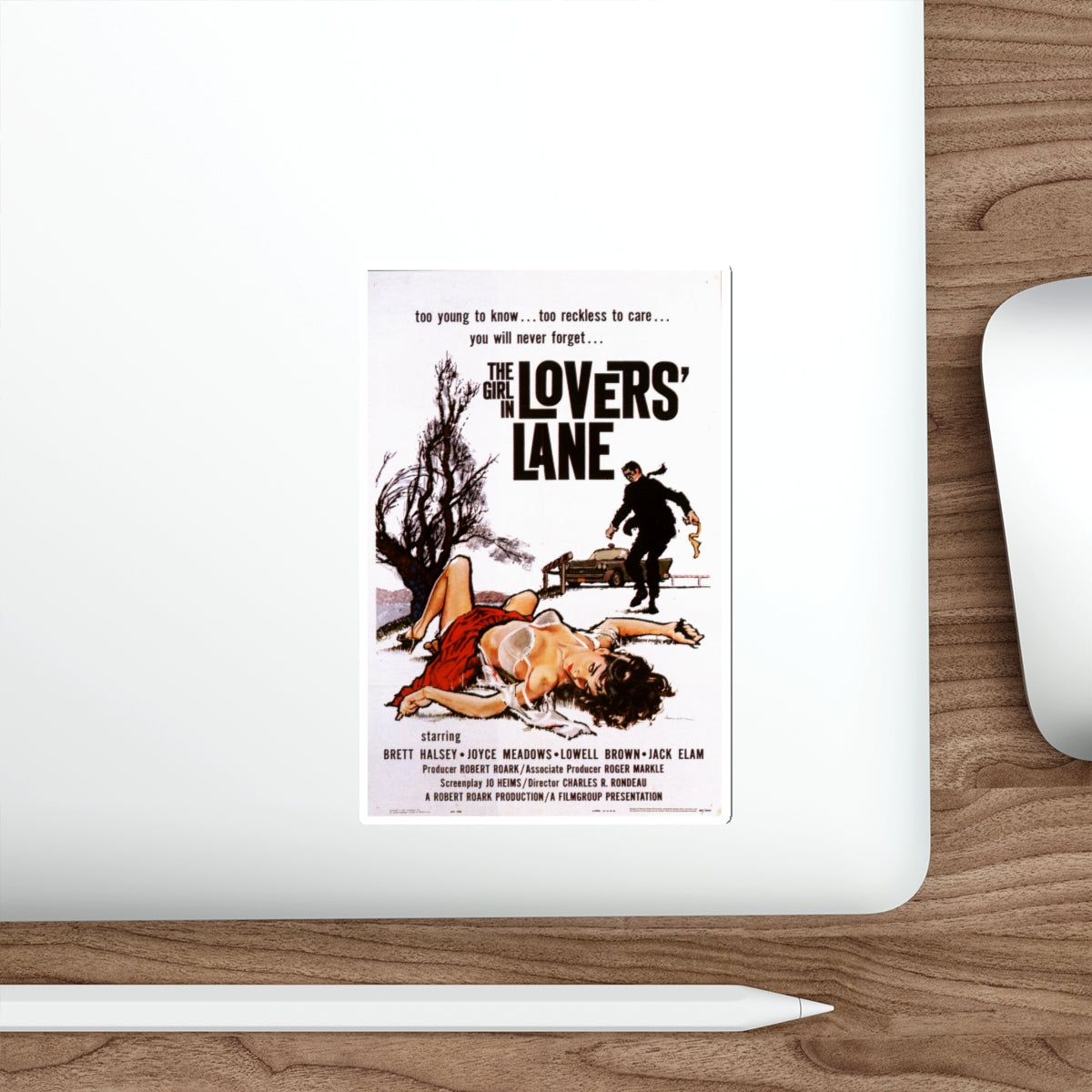 THE GIRL IN LOVER'S LANE 1959 Movie Poster STICKER Vinyl Die-Cut Decal-The Sticker Space