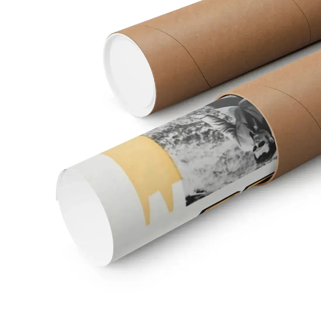 THE GOLDEN BOX 1970 - Paper Movie Poster - The Sticker Space