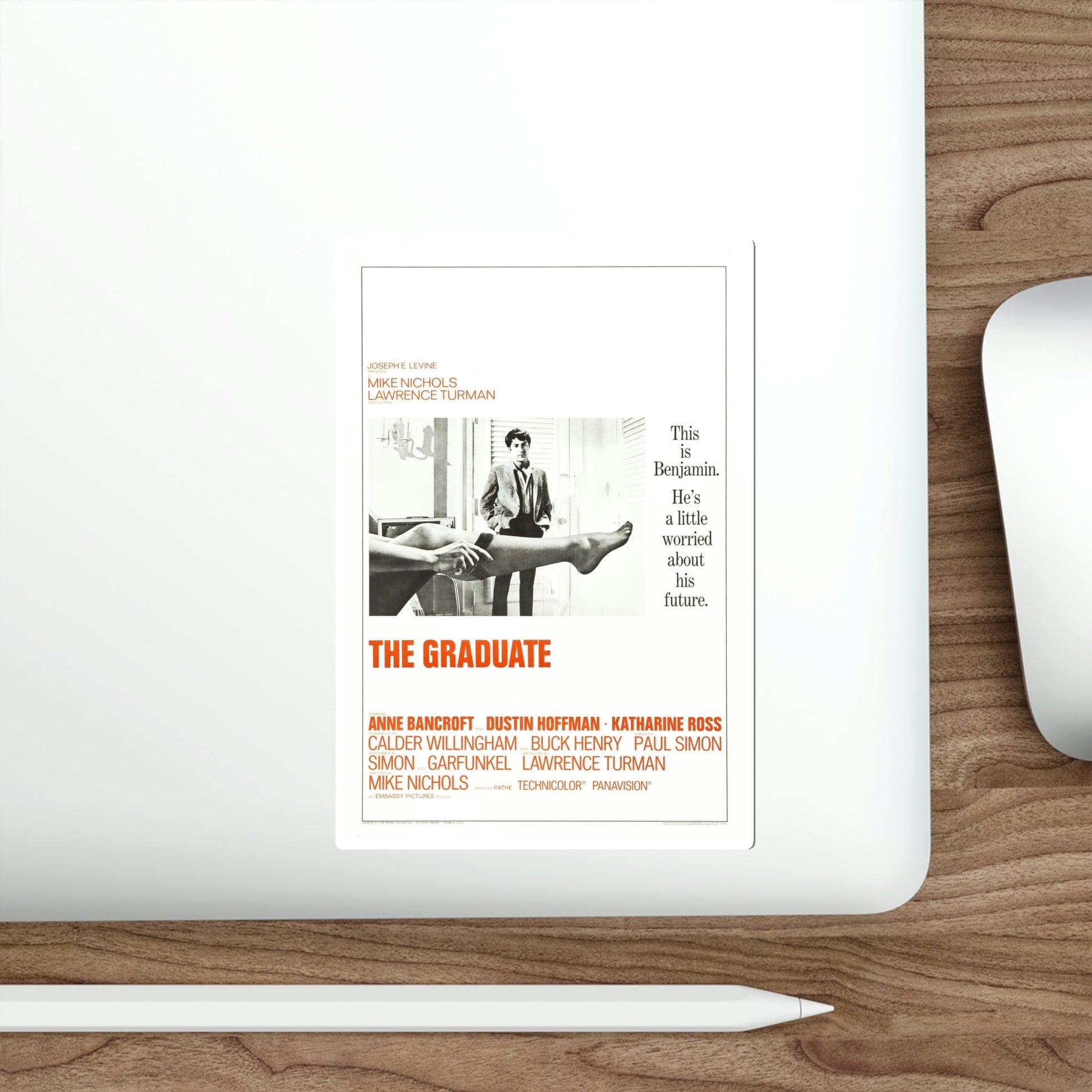 The Graduate 1967 Movie Poster STICKER Vinyl Die-Cut Decal-The Sticker Space