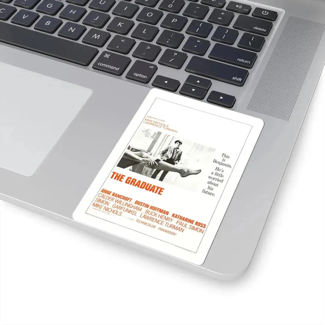 The Graduate 1967 Movie Poster - STICKER Vinyl Kiss-Cut Decal - The Sticker Space