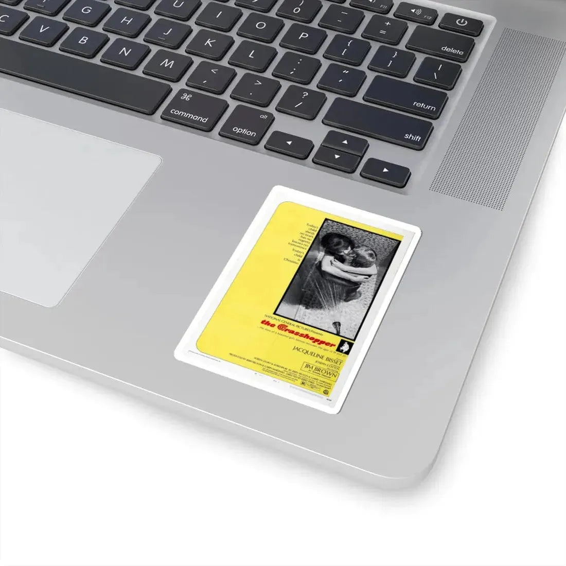 The Grasshopper 1970 Movie Poster - STICKER Vinyl Kiss-Cut Decal - The Sticker Space