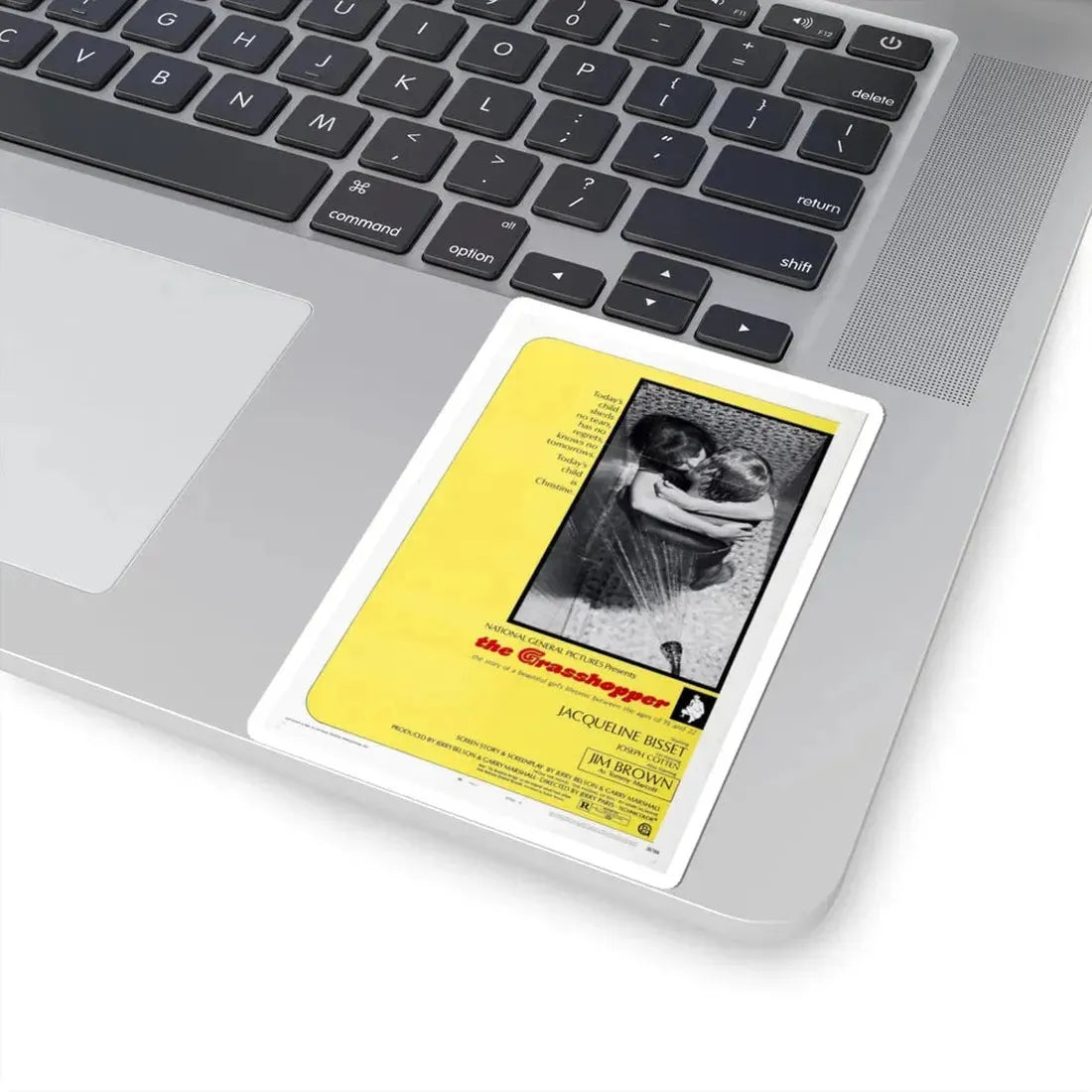 The Grasshopper 1970 Movie Poster - STICKER Vinyl Kiss-Cut Decal - The Sticker Space