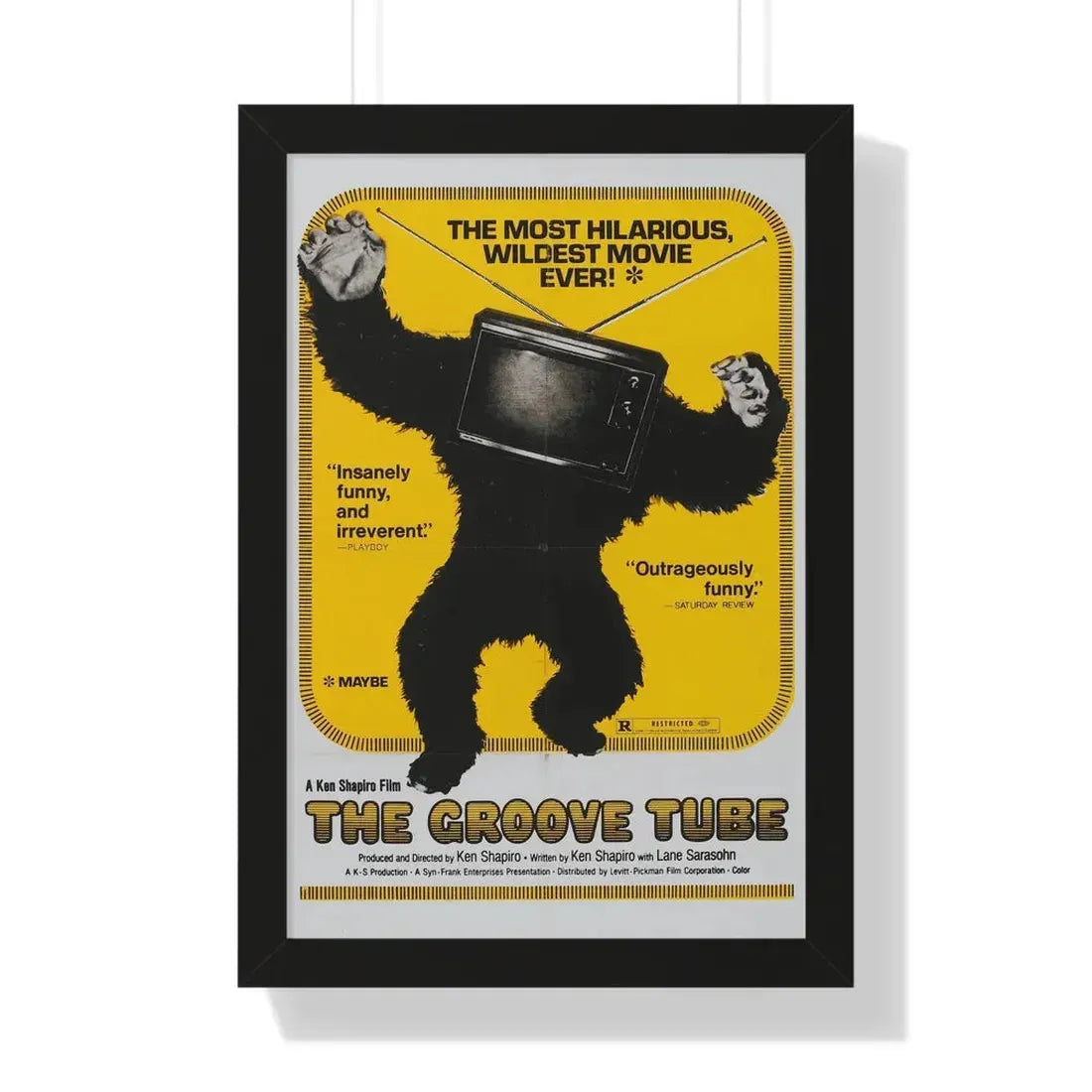 THE GROOVE TUBE 1974 - Framed Movie Poster 16″ x 24″ Black - The Sticker Space