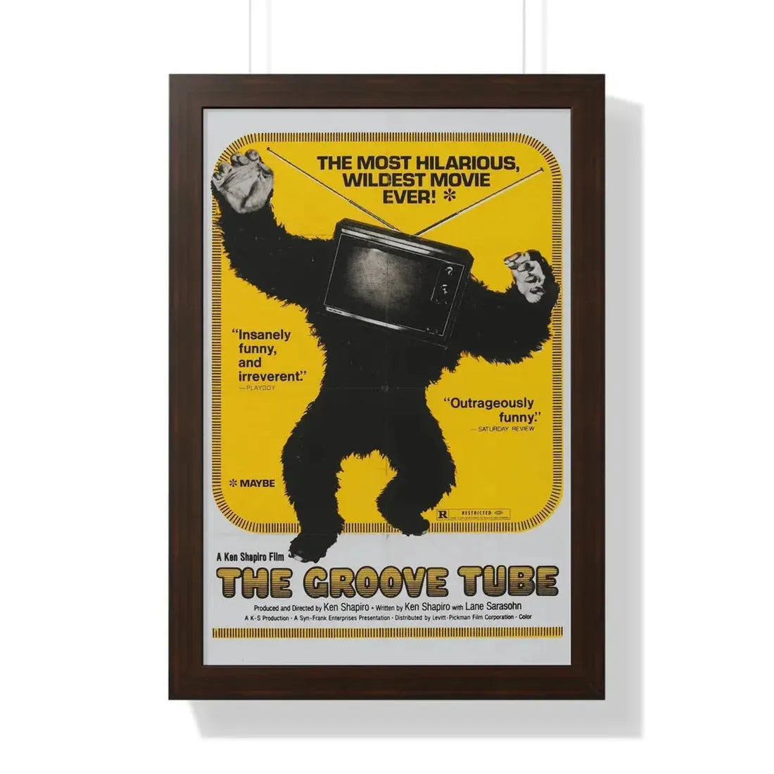 THE GROOVE TUBE 1974 - Framed Movie Poster 16″ x 24″ Walnut - The Sticker Space