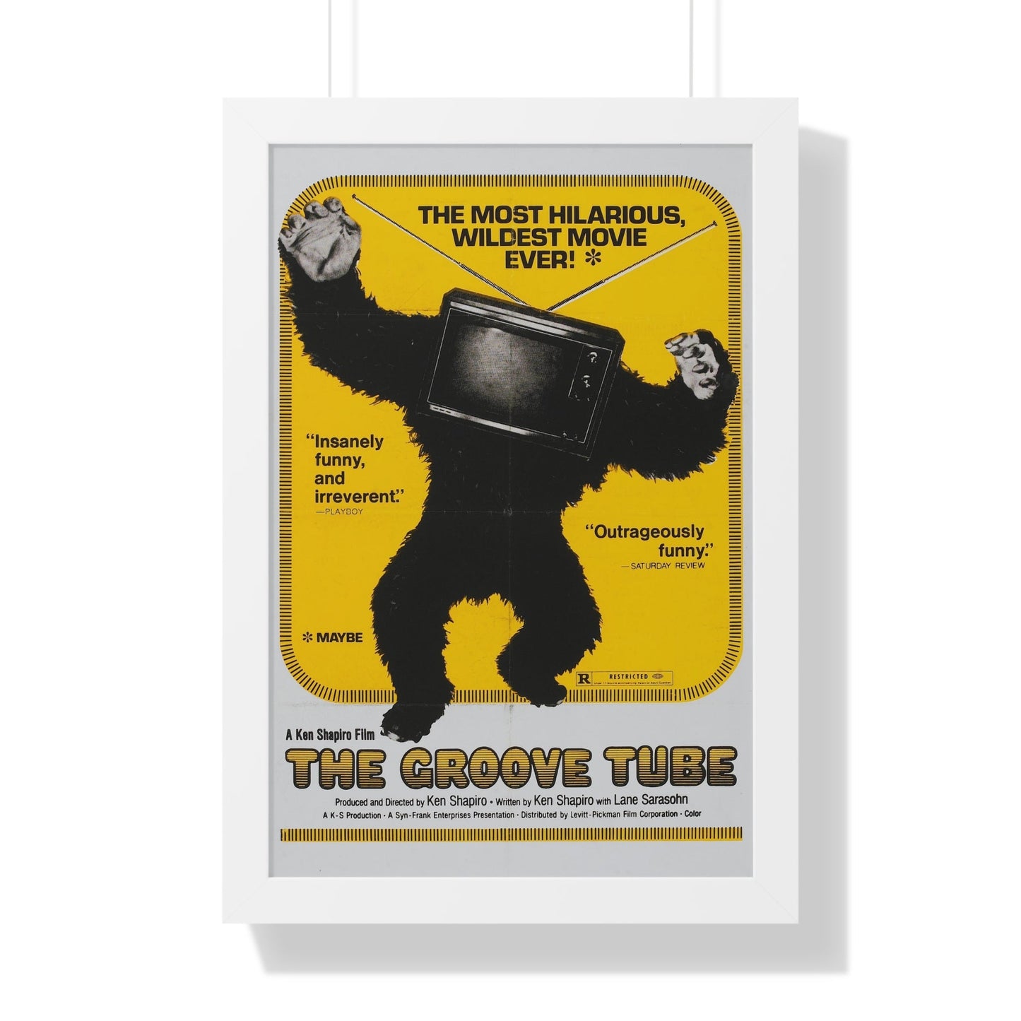 THE GROOVE TUBE 1974 - Framed Movie Poster-16″ x 24″-The Sticker Space