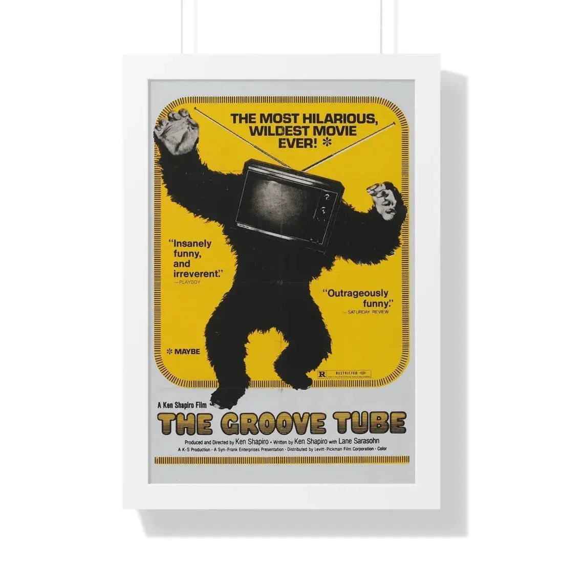 THE GROOVE TUBE 1974 - Framed Movie Poster 16″ x 24″ White - The Sticker Space