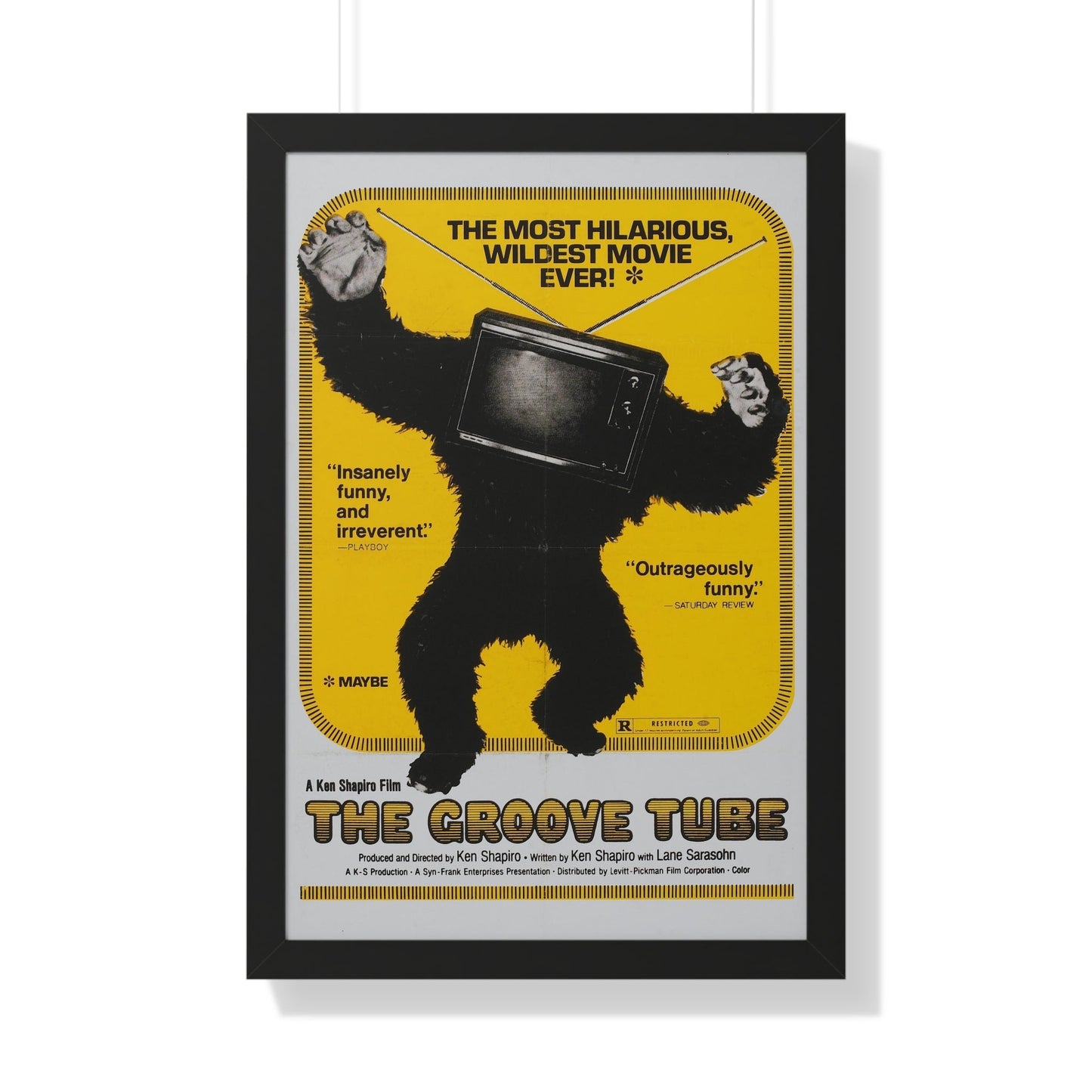 THE GROOVE TUBE 1974 - Framed Movie Poster-20" x 30"-The Sticker Space