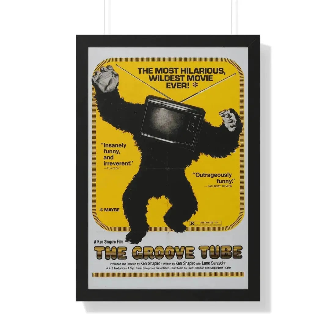 THE GROOVE TUBE 1974 - Framed Movie Poster 20" x 30" Black - The Sticker Space