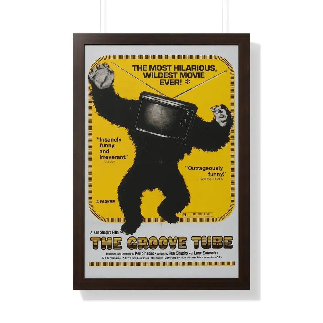 THE GROOVE TUBE 1974 - Framed Movie Poster 20" x 30" Walnut - The Sticker Space