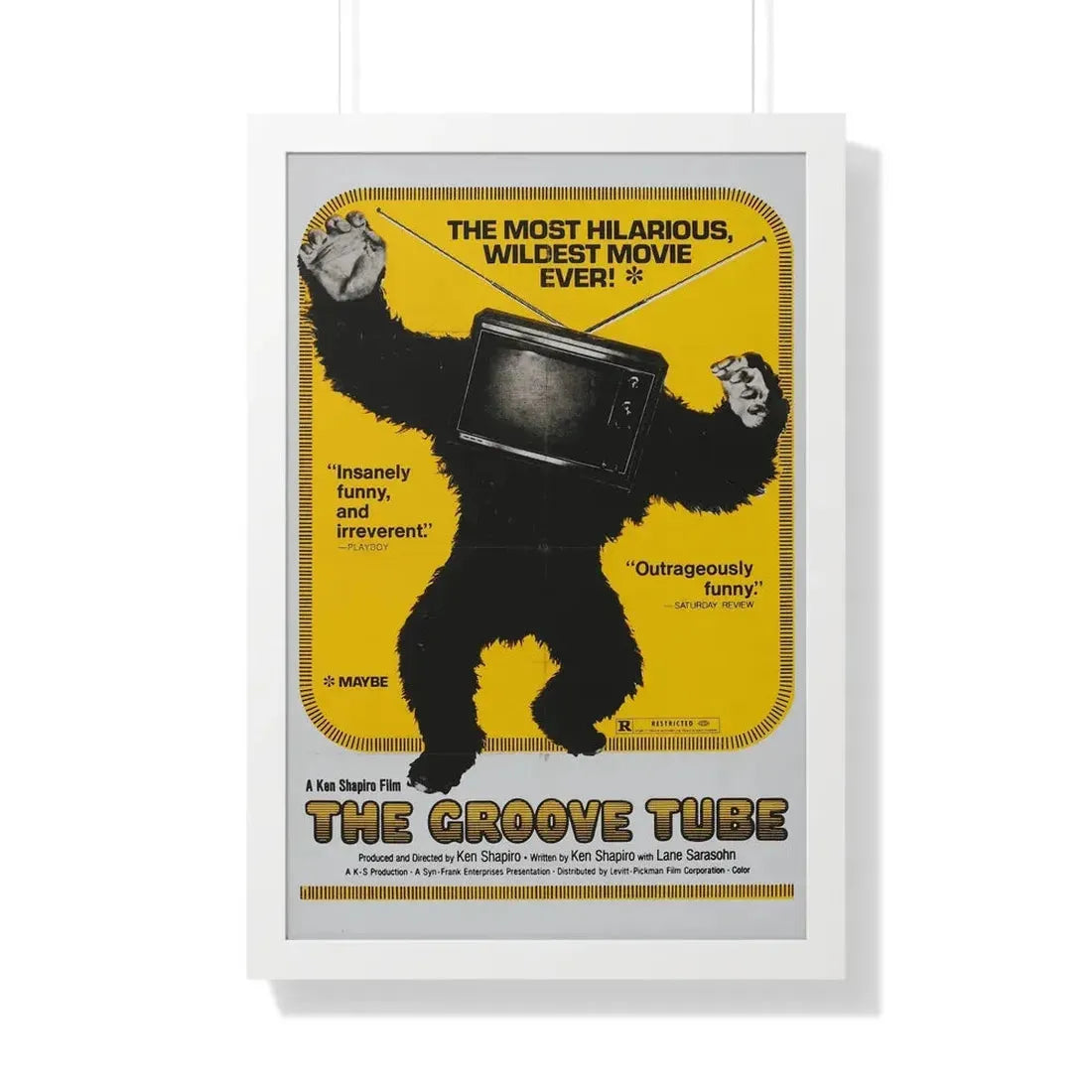 THE GROOVE TUBE 1974 - Framed Movie Poster 20" x 30" White - The Sticker Space