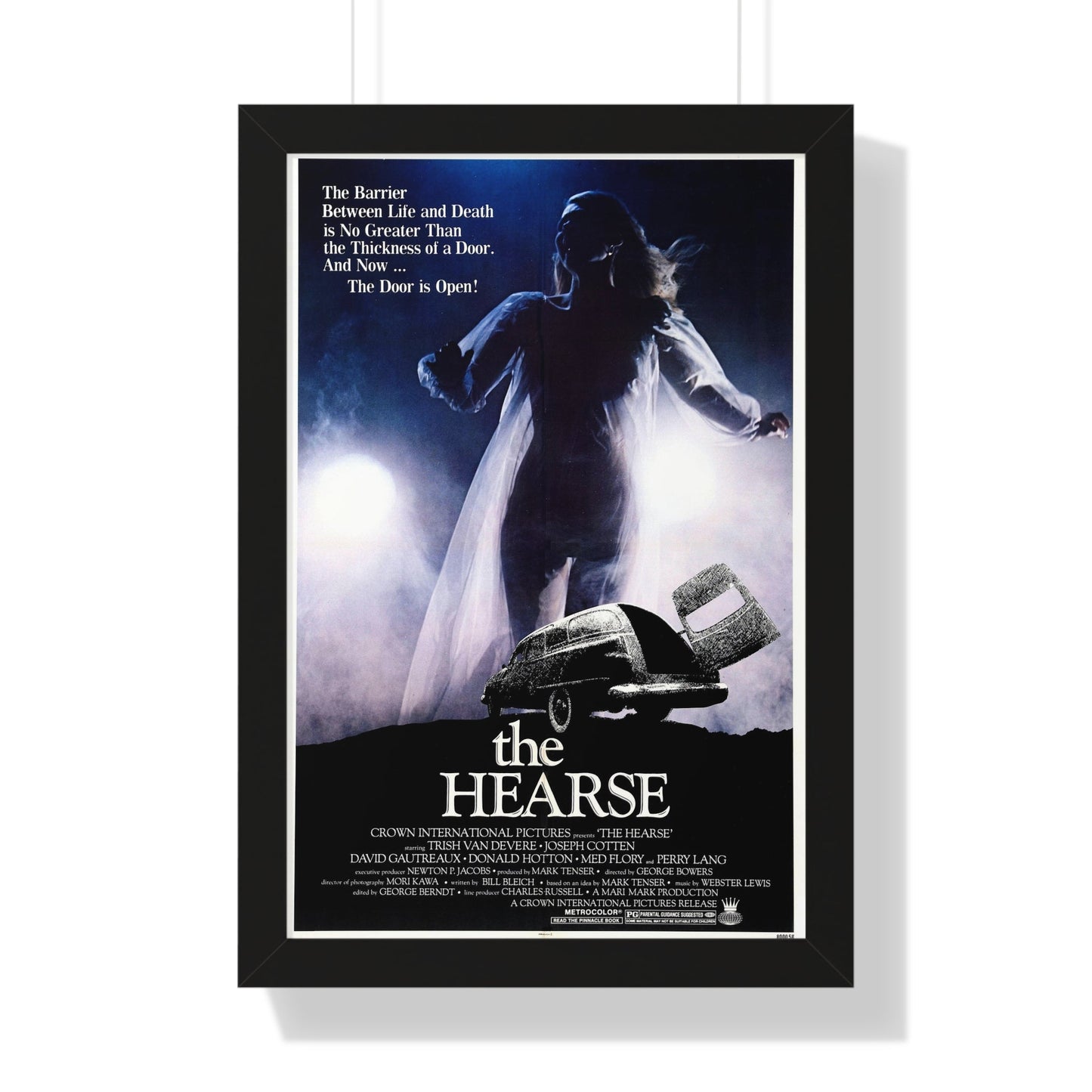 THE HEARSE 1980 - Framed Movie Poster-16″ x 24″-The Sticker Space