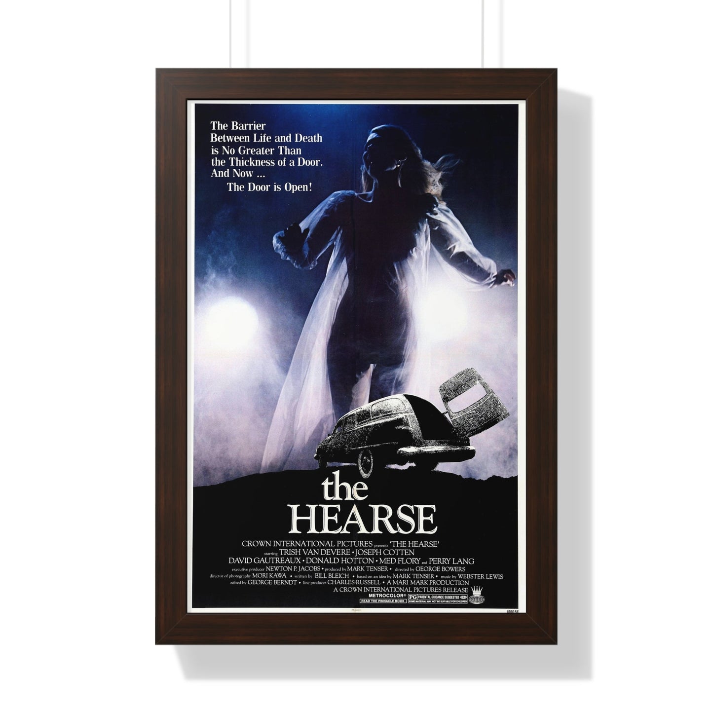 THE HEARSE 1980 - Framed Movie Poster-16″ x 24″-The Sticker Space