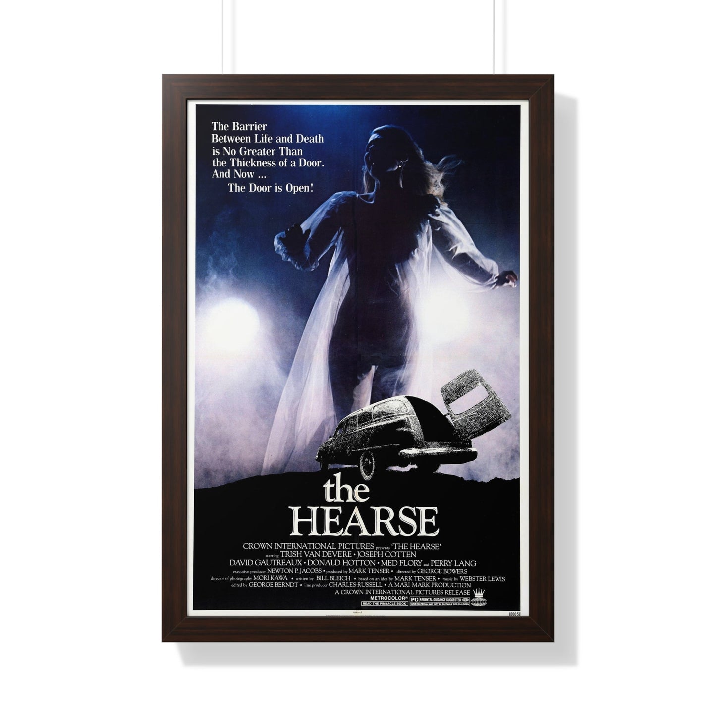 THE HEARSE 1980 - Framed Movie Poster-20" x 30"-The Sticker Space