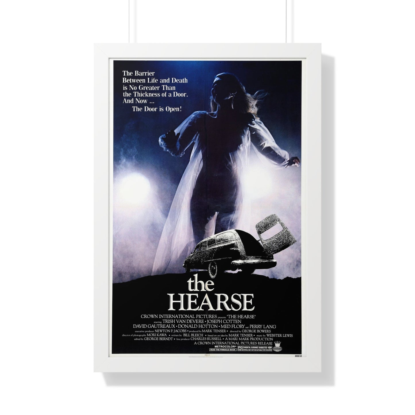 THE HEARSE 1980 - Framed Movie Poster-20" x 30"-The Sticker Space