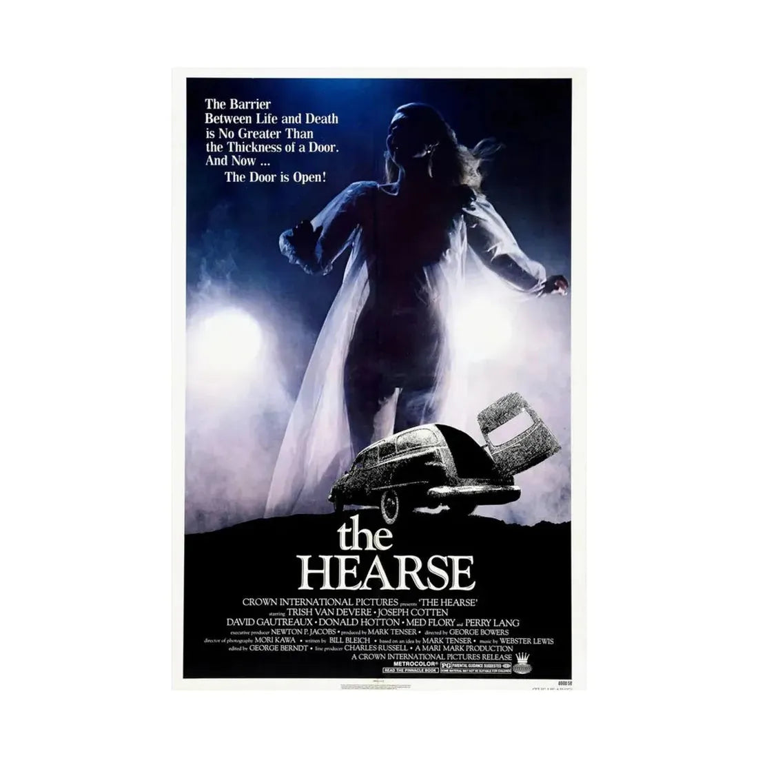 THE HEARSE 1980 - Paper Movie Poster - The Sticker Space