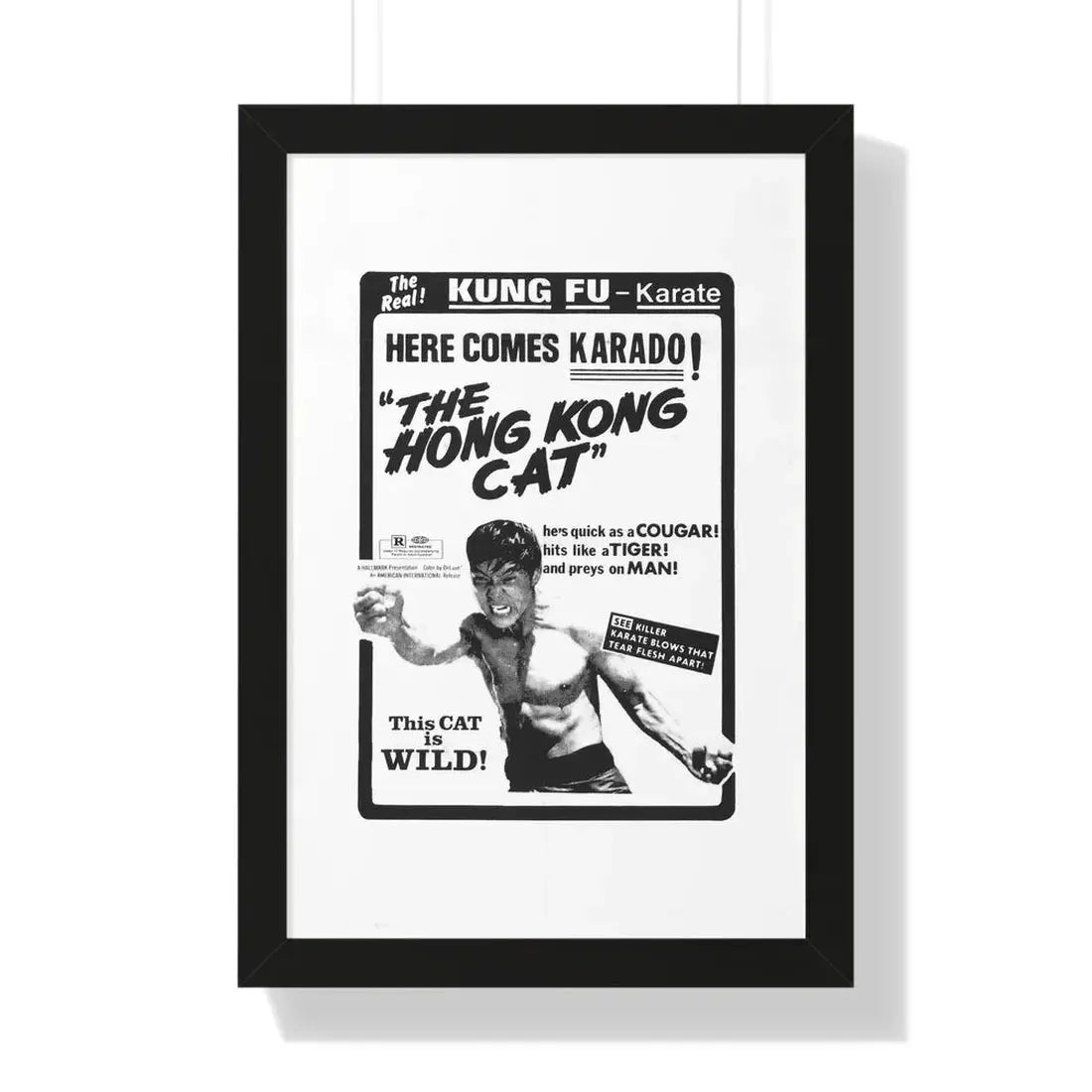 THE HONG KONG CAT 1973 - Framed Movie Poster 16″ x 24″ Black - The Sticker Space