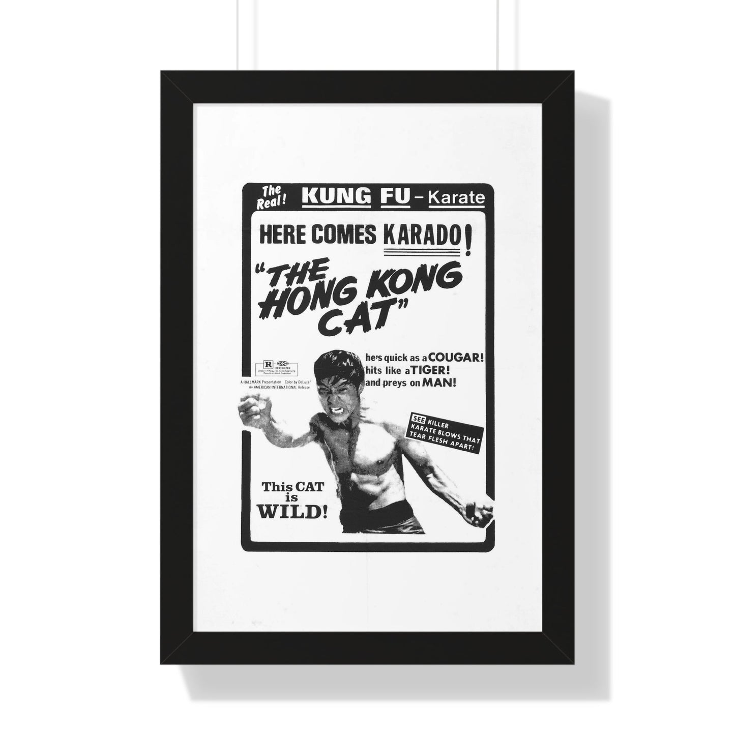 THE HONG KONG CAT 1973 - Framed Movie Poster-16″ x 24″-The Sticker Space