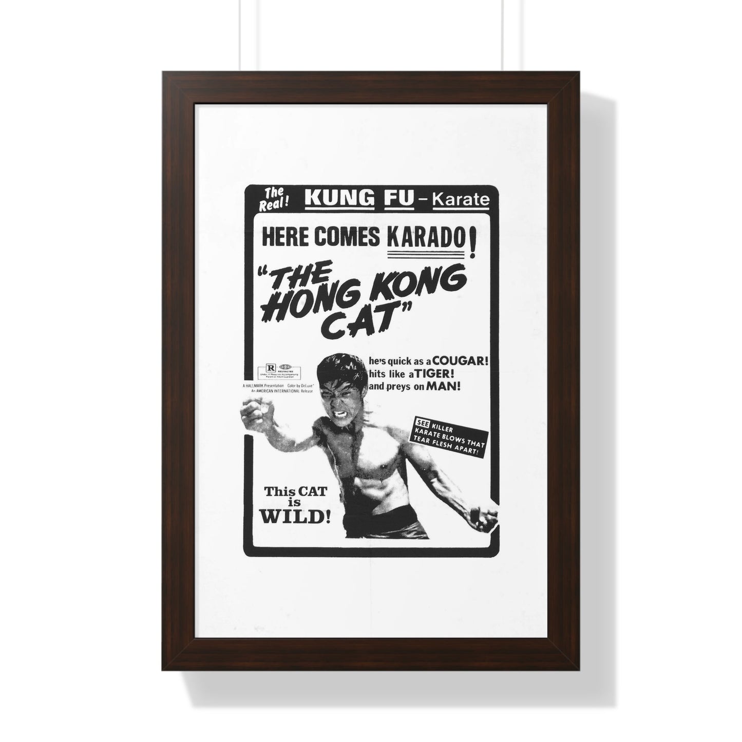 THE HONG KONG CAT 1973 - Framed Movie Poster-16″ x 24″-The Sticker Space