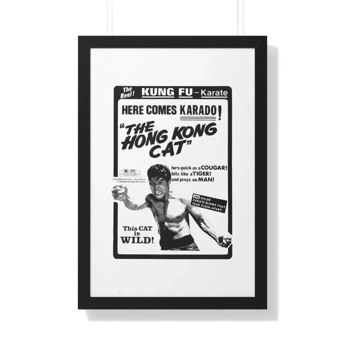 THE HONG KONG CAT 1973 - Framed Movie Poster 20" x 30" Black - The Sticker Space