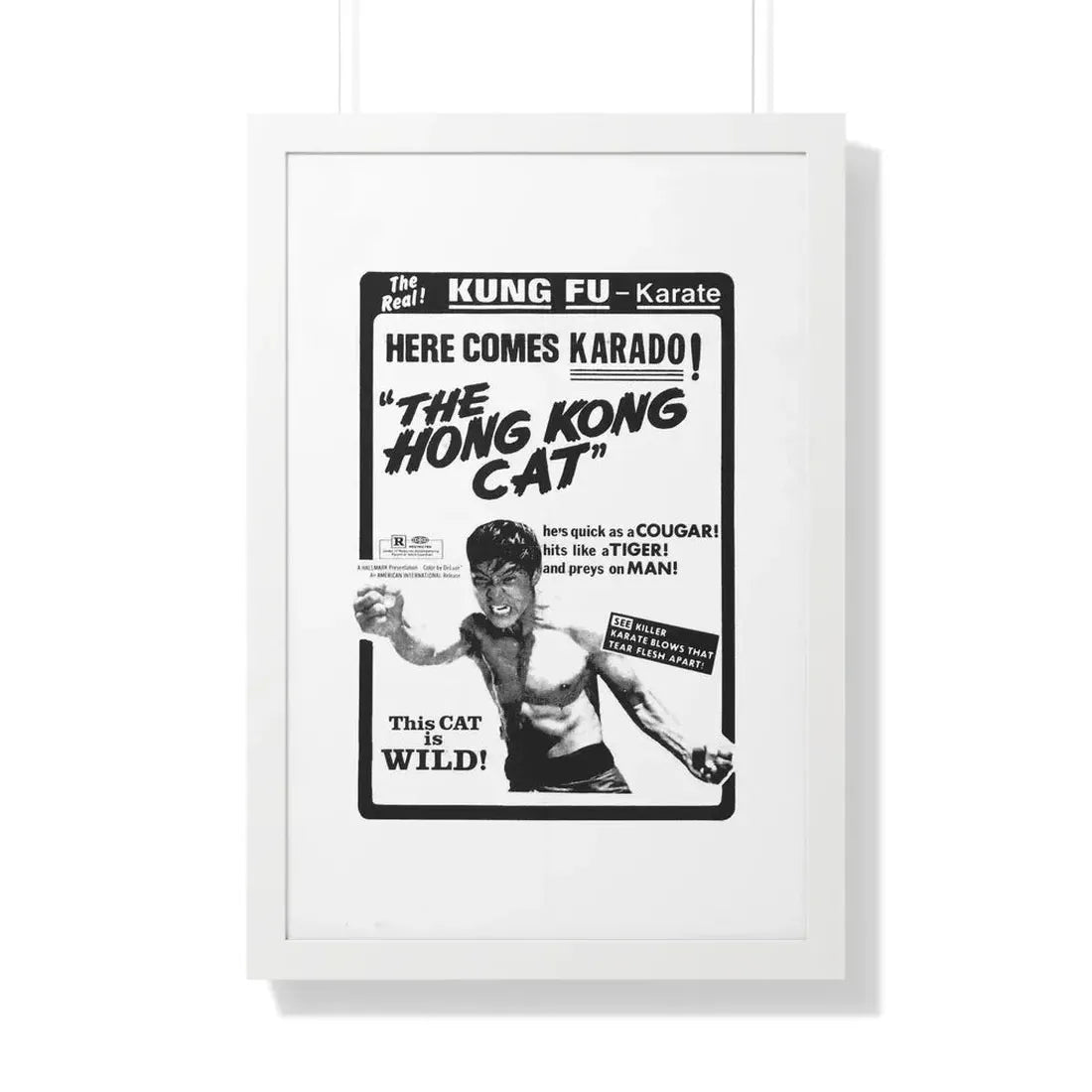 THE HONG KONG CAT 1973 - Framed Movie Poster 20" x 30" White - The Sticker Space