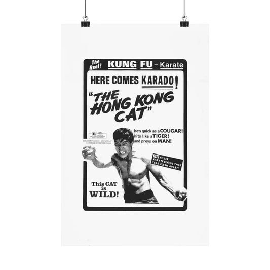 THE HONG KONG CAT 1973 - Paper Movie Poster 12″ x 18″ Matte - The Sticker Space