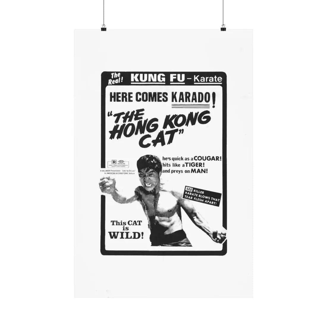 THE HONG KONG CAT 1973 - Paper Movie Poster 24″ x 36″ Matte - The Sticker Space