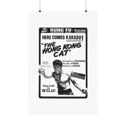 THE HONG KONG CAT 1973 - Paper Movie Poster 24″ x 36″ Matte - The Sticker Space