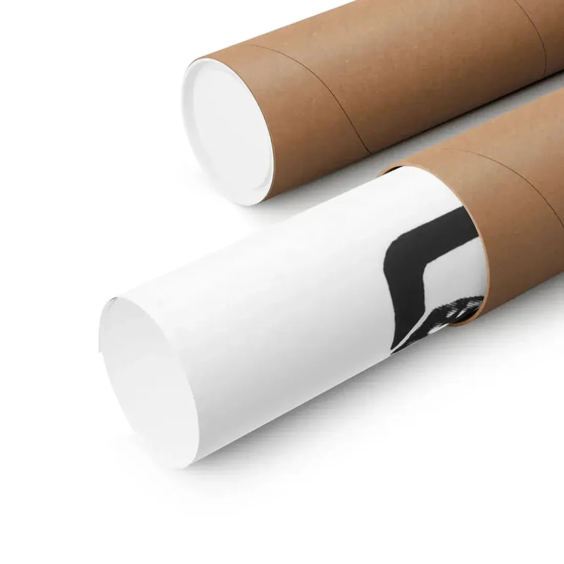 THE HONG KONG CAT 1973 - Paper Movie Poster - The Sticker Space