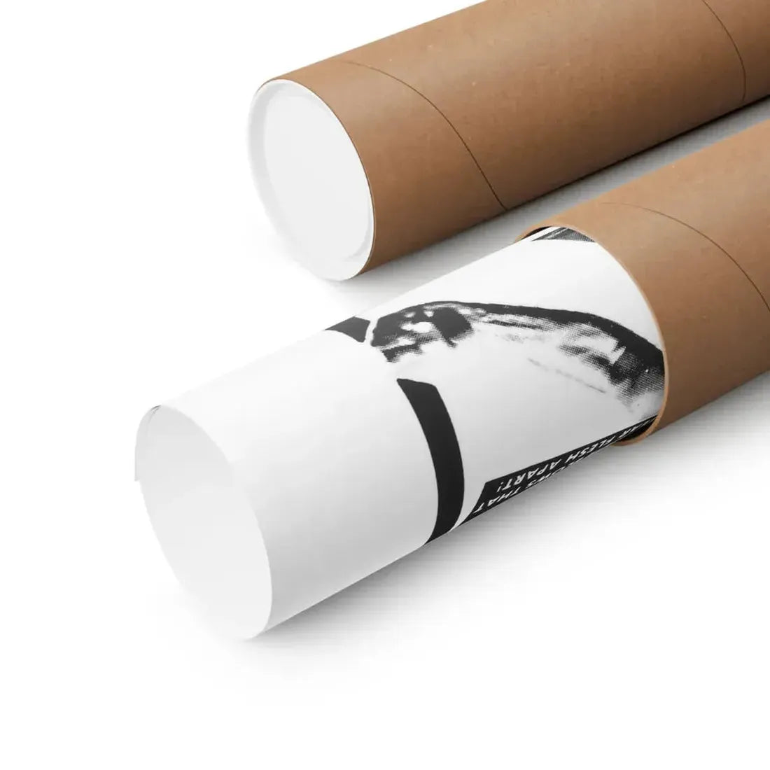 THE HONG KONG CAT 1973 - Paper Movie Poster - The Sticker Space