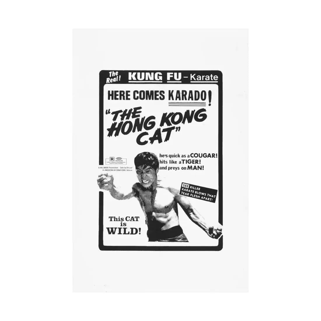 THE HONG KONG CAT 1973 - Paper Movie Poster - The Sticker Space