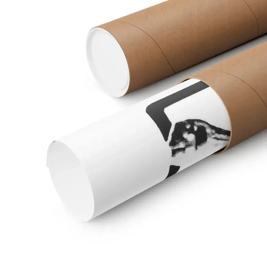 THE HONG KONG CAT 1973 - Paper Movie Poster - The Sticker Space