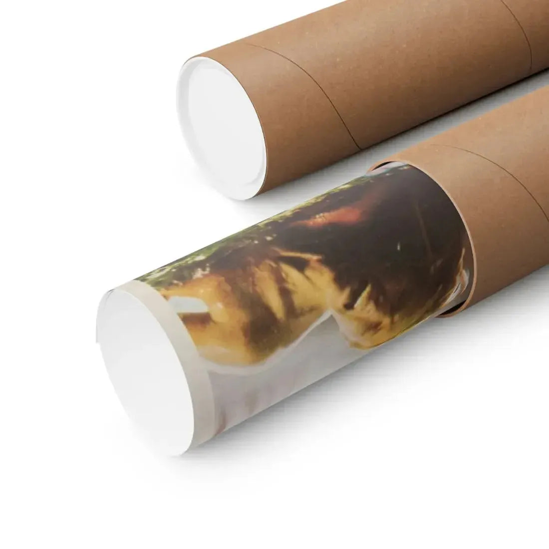 THE HORROR SHOW 1979 - Paper Movie Poster - The Sticker Space