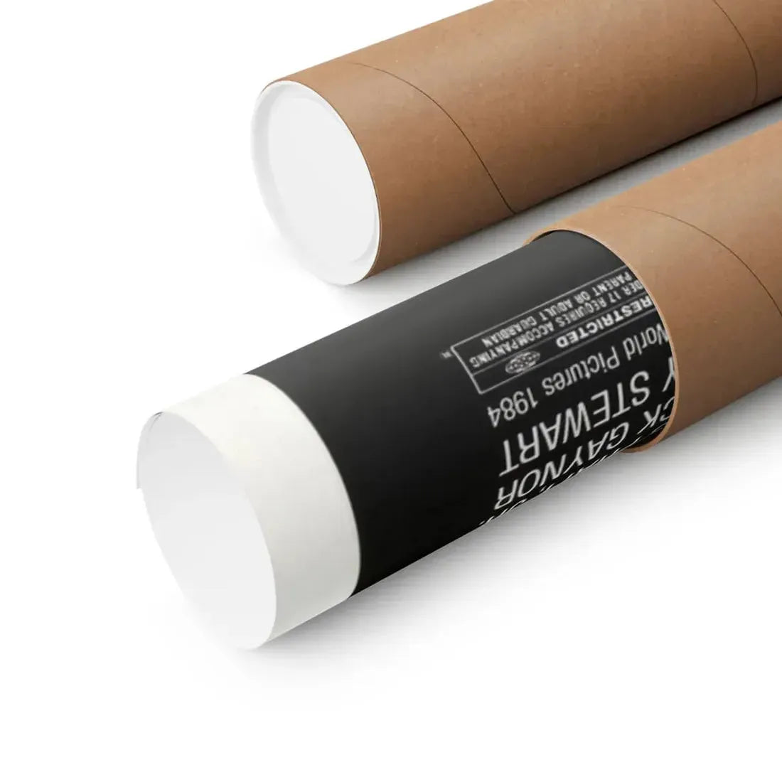 THE INITIATION 1984 - Paper Movie Poster - The Sticker Space