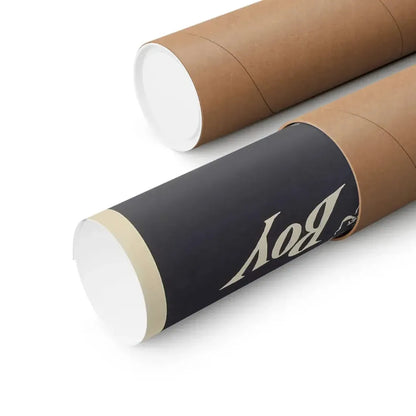 THE INVISIBLE BOY 1957 - Paper Movie Poster - The Sticker Space