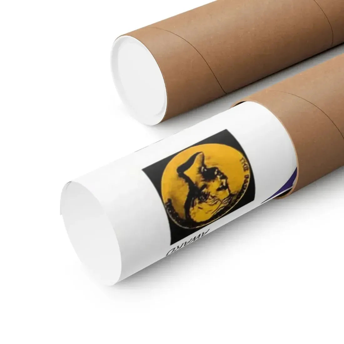 THE INVISIBLE BOY (2) 1957 - Paper Movie Poster - The Sticker Space